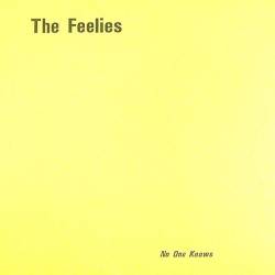 The Feelies : No One Knows